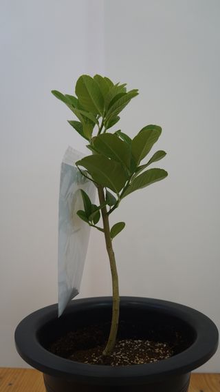 정미리님의 자유주제 · 자유게시판 작성글 사진