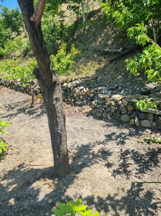 김용대님의 자유주제 · 자유게시판 작성글 사진