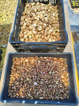 팜모닝회원 김순달 님의 자유주제 · 자유게시판 작성글 사진