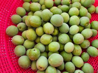 김용석님의 자유주제 · 자유게시판 작성글 사진