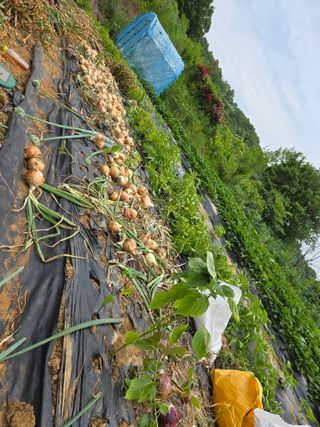 동동이님의 자유주제 · 자유게시판 작성글 사진