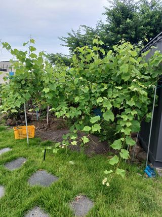 제주할아범님의 자유주제 · 자유게시판 작성글 사진