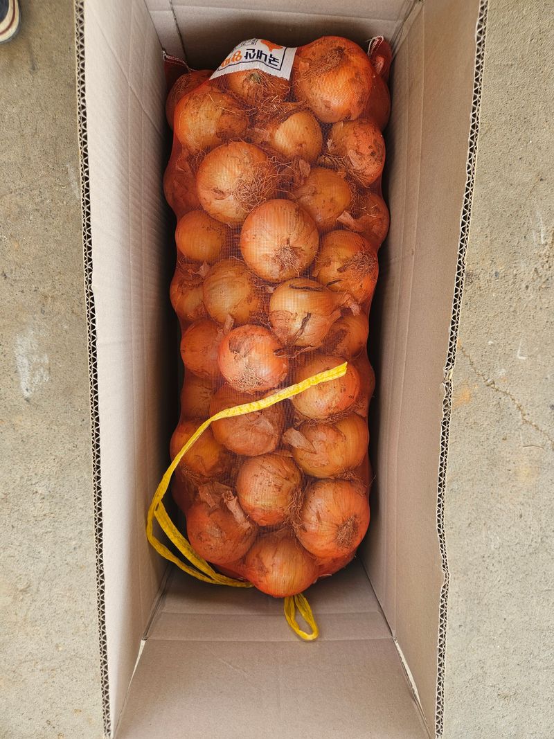 이재관(황토속애)님의 장터 판매 상품 [전국재배율1위 무안양파(만생종) 판매중] 첨부 사진