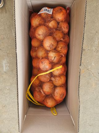 이재관(황토속애)님의 작성글 사진