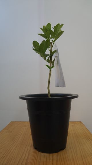 정미리님의 자유주제 · 자유게시판 작성글 사진