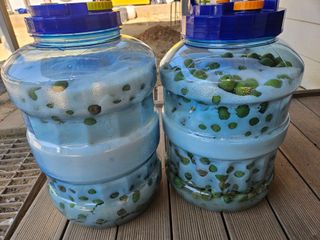 김용석님의 자유주제 · 자유게시판 작성글 사진