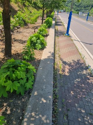 김용대님의 자유주제 · 자유게시판 작성글 사진