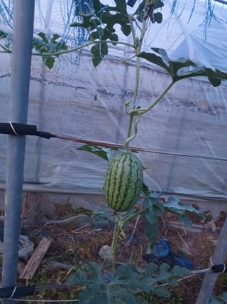 이정민님의 작성글 사진