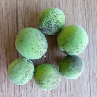 얼큰이님의 자유주제 · 자유게시판 작성글 사진