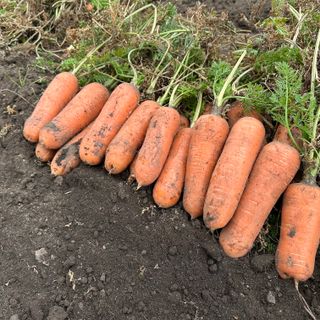 김태환님의 작성글 사진