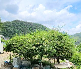 고추건조기부품판매님의 자유주제 · 자유게시판 작성글 사진