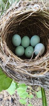 김선례님의 자유주제·자유게시판 작성글 사진