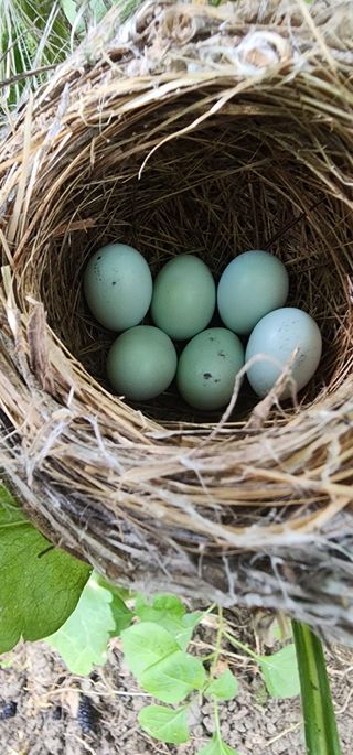 김선례님의 자유주제 · 자유게시판 작성글 사진