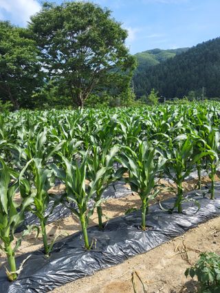 이연화님의 자유주제 · 자유게시판 작성글 사진