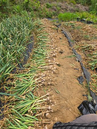 동동이님의 자유주제 · 자유게시판 작성글 사진