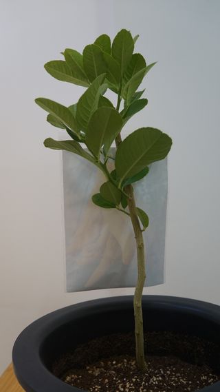 정미리님의 자유주제 · 자유게시판 작성글 사진