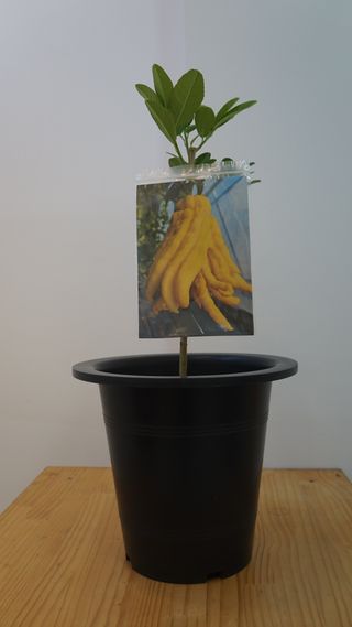 정미리님의 자유주제 · 자유게시판 작성글 사진