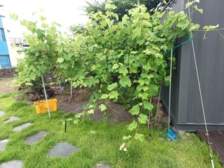 제주할아범님의 자유주제 · 자유게시판 작성글 사진