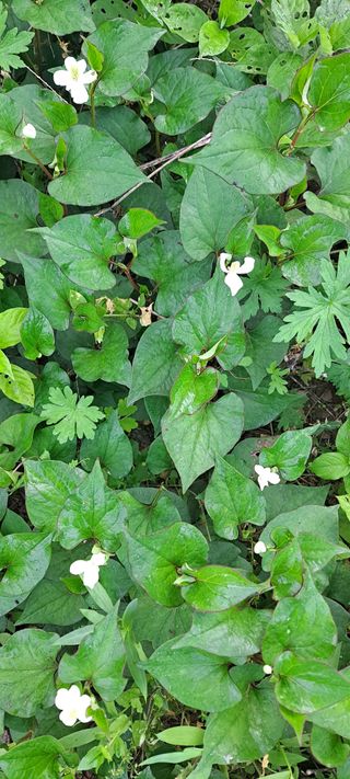 백순분님의 작성글 사진