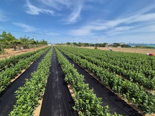 우리농원님의 자유주제 · 자유게시판 작성글 사진
