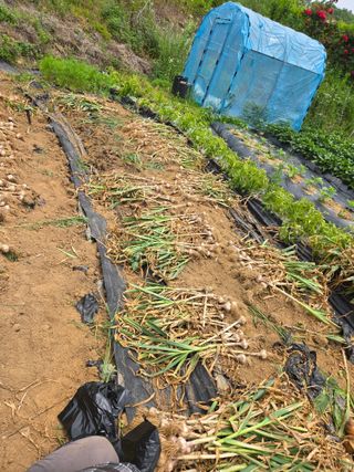 동동이님의 자유주제 · 자유게시판 작성글 사진