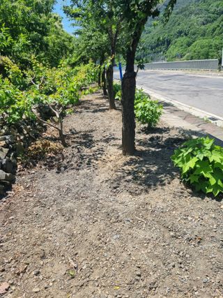 김용대님의 자유주제 · 자유게시판 작성글 사진