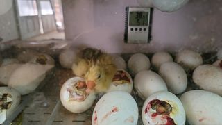 김영복님의 자유주제 · 자유게시판 작성글 사진