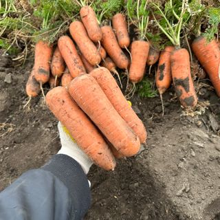 김태환님의 작성글 사진