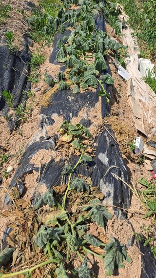 MSG0074님의 자유주제 · 자유게시판 작성글 사진