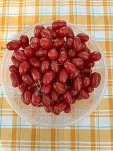 팜모닝 자유주제·자유게시판 게시글 이미지