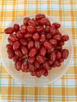 로이스님의 자유주제 · 자유게시판 작성글 사진