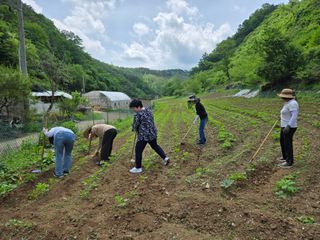 서동일님의 작성글 사진