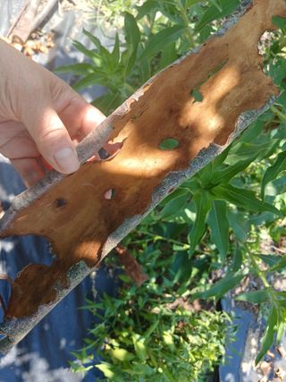 금동이네님의 자유주제 · 자유게시판 작성글 사진