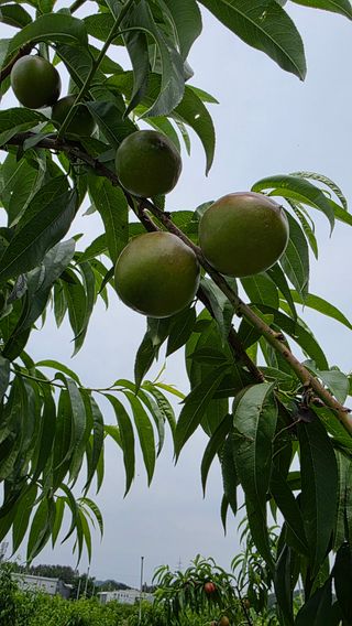 한만석님의 자유주제 · 자유게시판 작성글 사진