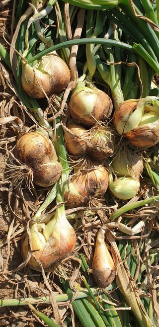 정천복님의 자유주제 · 자유게시판 작성글 사진