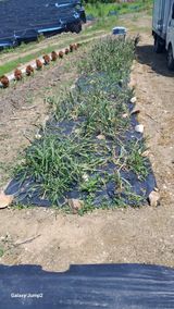 팜모닝 농사, 무엇이든 물어보세요!·참여글 게시글 이미지