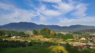 MSG0074님의 자유주제 · 자유게시판 작성글 사진