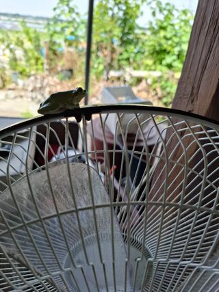 따스한햇살과열매님의 자유주제 · 자유게시판 작성글 사진