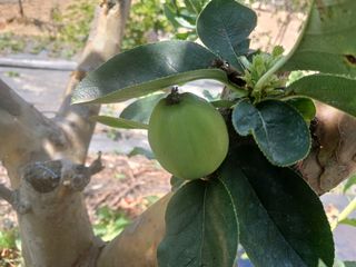 금동이네님의 자유주제 · 자유게시판 작성글 사진