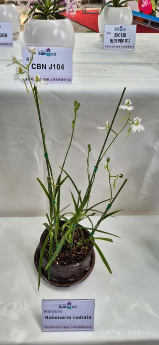 달맛햇복숭아농원님의 자유주제 · 사진전 작성글 사진