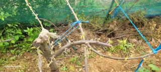 고추5790님의 자유주제 · 자유게시판 작성글 사진