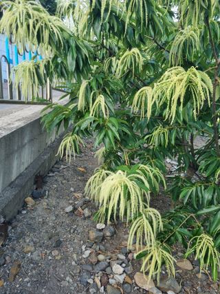 김용대님의 자유주제 · 자유게시판 작성글 사진