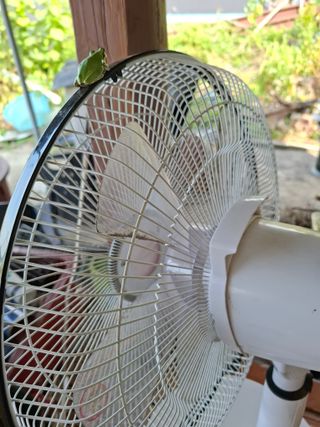 따스한햇살과열매님의 자유주제 · 자유게시판 작성글 사진