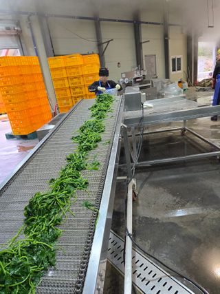 서동일님의 작성글 사진