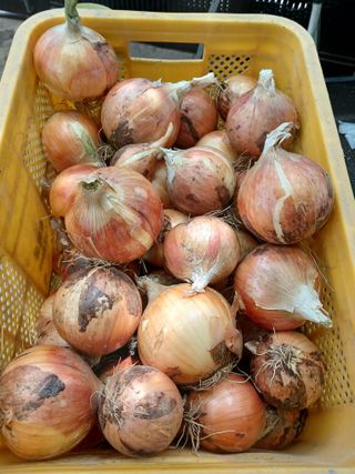 이영자 님의 자유주제 · 자유게시판 작성글 사진