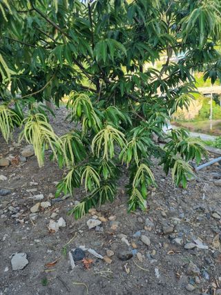 김용대님의 자유주제 · 자유게시판 작성글 사진