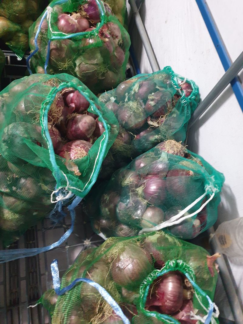 미스터농부님의 장터 판매 상품 [마늘 1접, 양파10kg, 쪽파종자 1kg] 첨부 사진