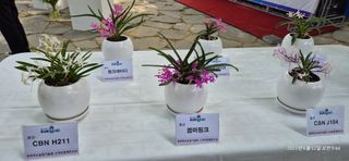 달맛햇복숭아농원님의 자유주제 · 사진전 작성글 사진