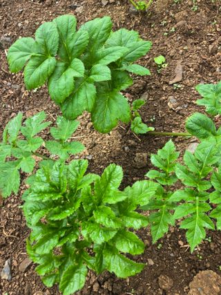 서동일님의 작성글 사진