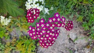 MSG0074님의 자유주제 · 자유게시판 작성글 사진